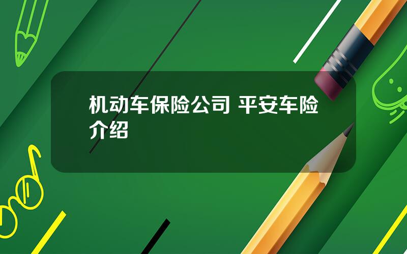 机动车保险公司 平安车险介绍